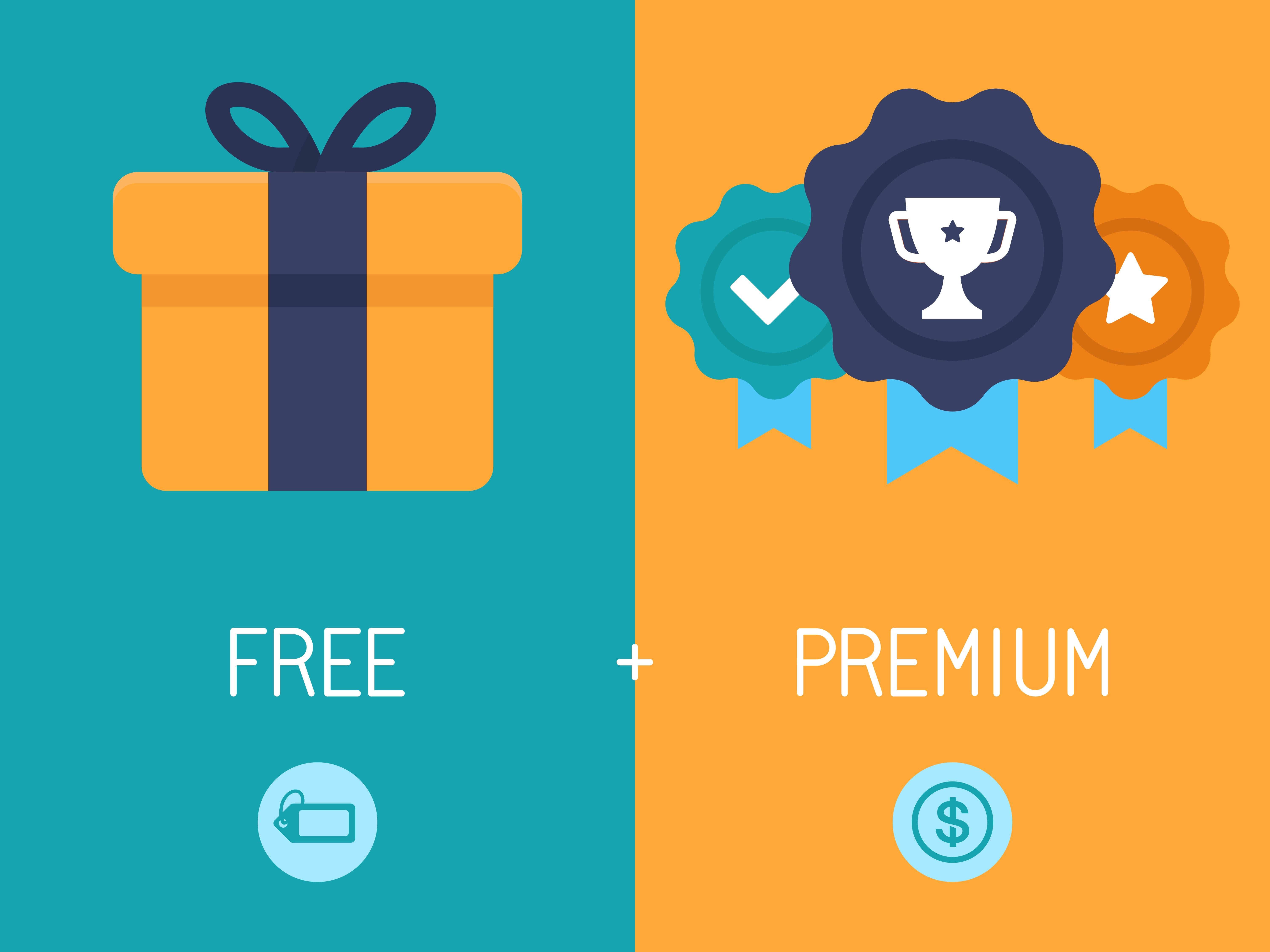 What is a Freemium Model?